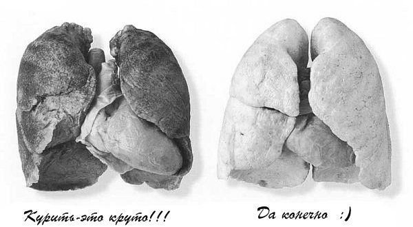 Вред о табачном курении