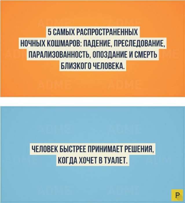 Интересные факты о человеке
