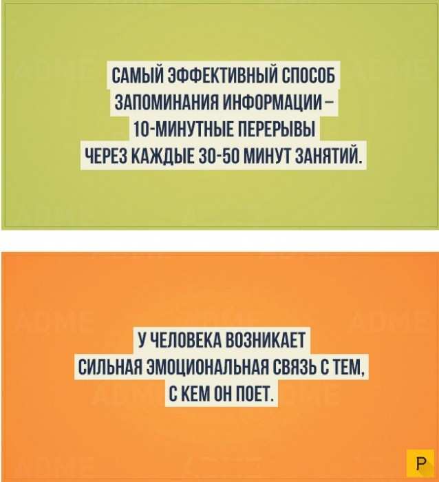 Интересные факты о человеке