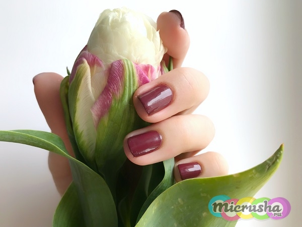 catrice